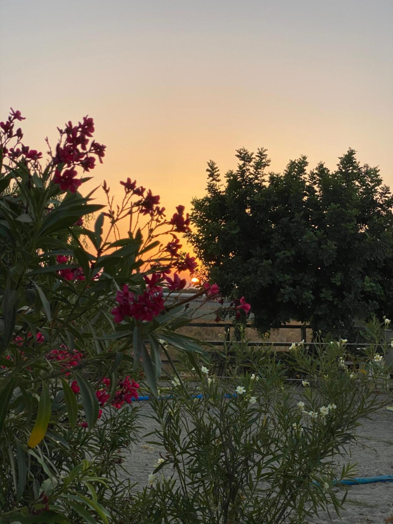 Arion Stables & Apartments Hersonissos  Zewnętrze zdjęcie