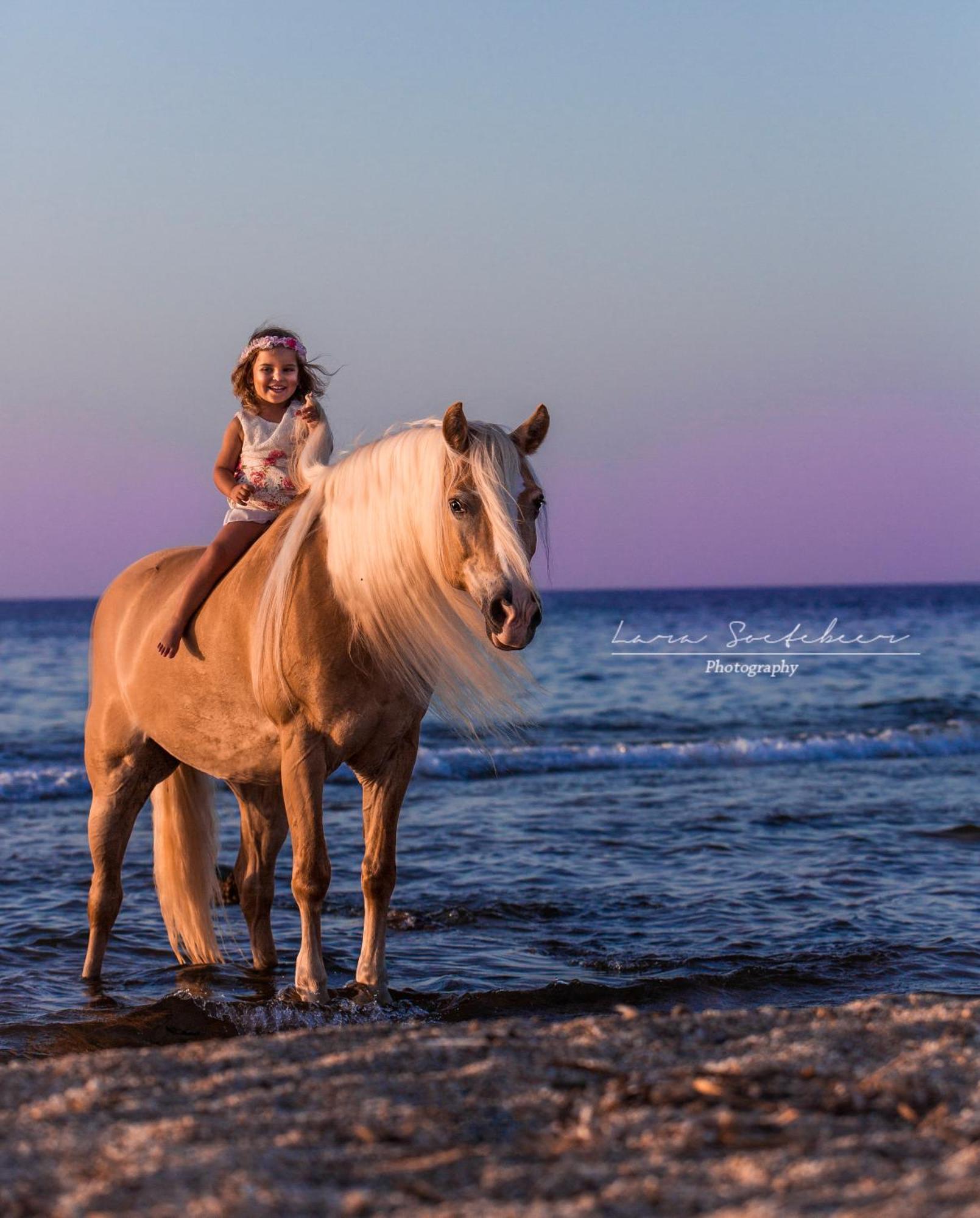 Arion Stables & Apartments Hersonissos  Zewnętrze zdjęcie