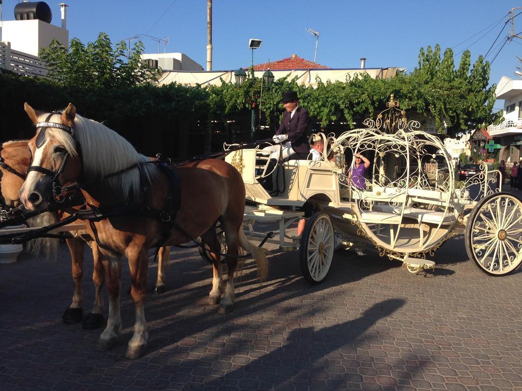 Arion Stables & Apartments Hersonissos  Zewnętrze zdjęcie