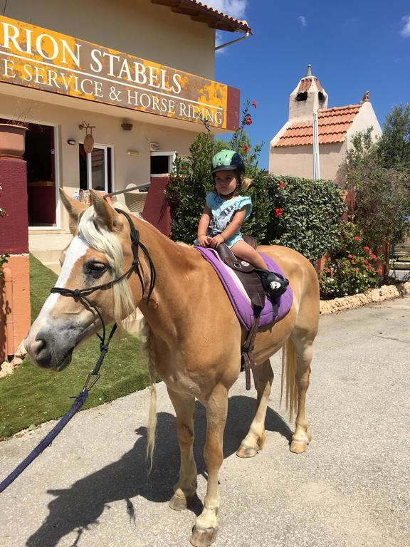 Arion Stables & Apartments Hersonissos  Zewnętrze zdjęcie